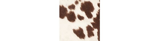 Manhattan Stain