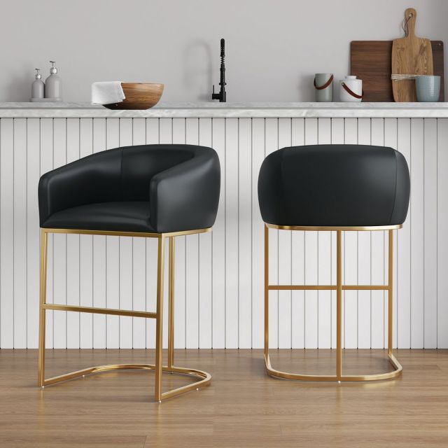 Black and Titanium Gold