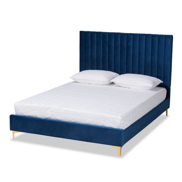 Navy Blue/Gold