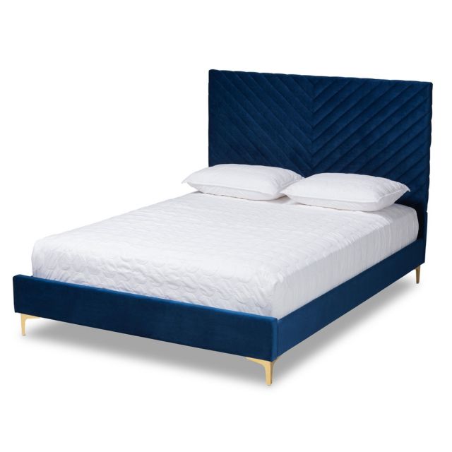 Navy Blue/Gold