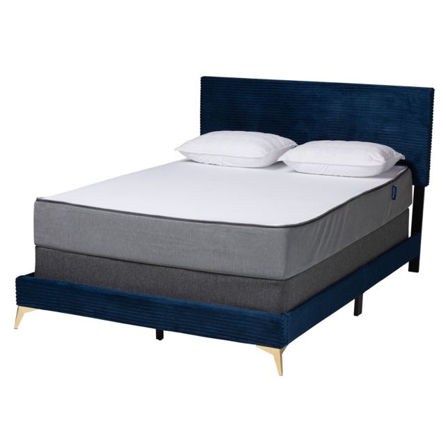 Navy Blue/Gold