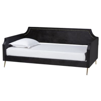 Pita Traditional Glam and Luxe Black Velvet and Gold Metal Twin Size Daybed