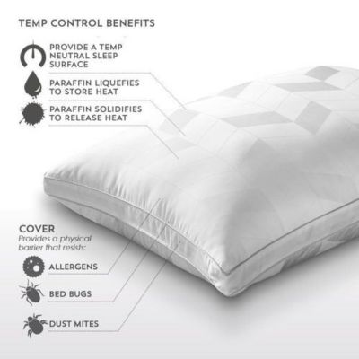 Revitalize Pillow