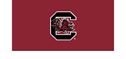 University of South Carolina logo. 