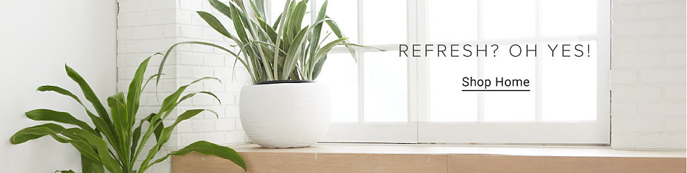 Image windows and plants in vase. Refresh? Oh yes! Shop home.