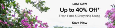 Last day. Up to 40% off. Fresh finds and everything spring. Save now. Flowers.