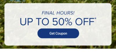 Spring it on. Up to 40% off. Get coupon. Image of an assortment of colorful sneakers. Now to March 20.