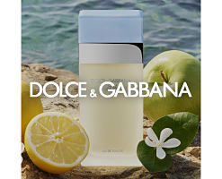 An image of a fragrance bottle. Shop Dolce and Gabbana. 