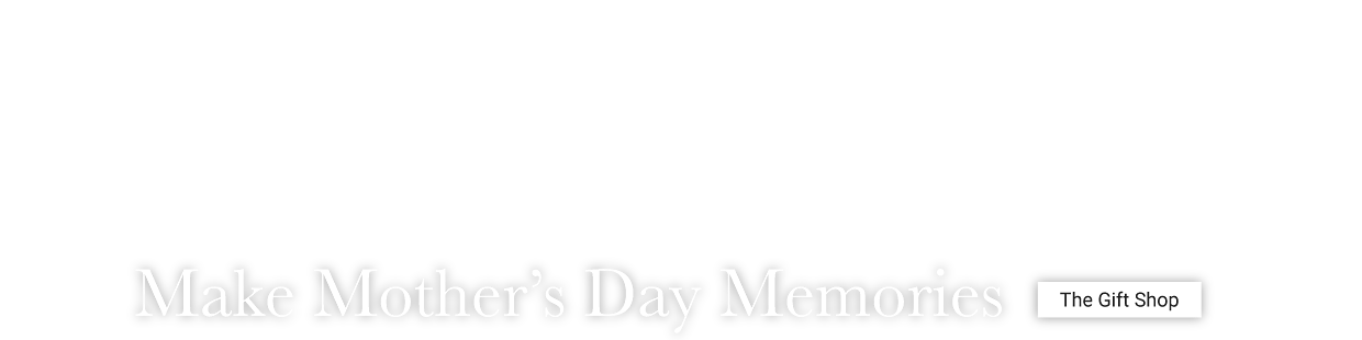 A video featuring a mom and daughter and gifting for Mother's Day. Make Mother's Day memories. The gift shop.