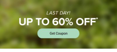 Today's coupon, up to 60% off. Get coupon. Now through May 11.