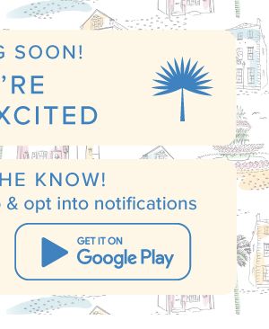 Get it on Google Play