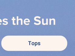 Shop tops.