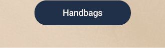 Shop Handbags