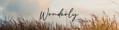 Wonderly logo with a whimsical beach grass background. Shop Wonderly now.