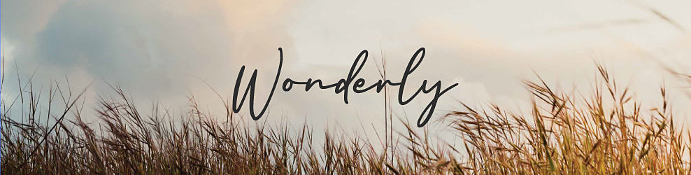 Wonderly logo with a whimsical beach grass background. Shop Wonderly now.