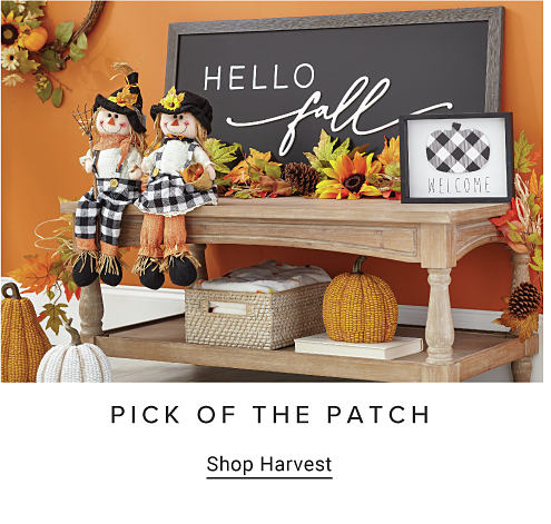 Image of pumpkin and scarecrow decor PICK OF THE PATCH Shop Harvest