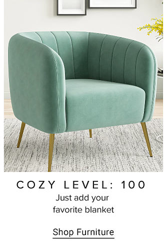 Image of plush chair COZY LEVEL: 100 Just add your favorite blanket Shop Furniture