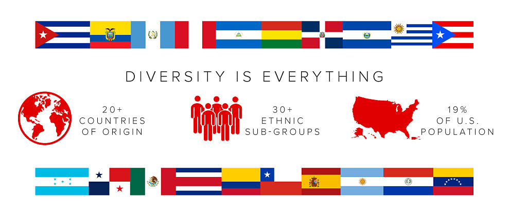 A number of different flags representing different countries. Diversity is everything 20 plus countries of origin. 30 plus ethnic sub-groups 19% of the U.S. population.