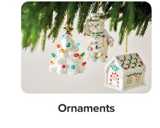 White Christmas ornaments. Shop ornaments.