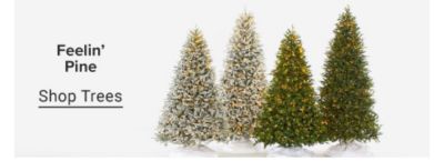 Image of Christmas trees. Feelin' Pine. Shop Trees.