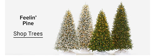 Image of Christmas trees. Feelin' Pine. Shop Trees.