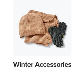 Image of a brown beanie and scarf with black gloves. Winter accessories. 