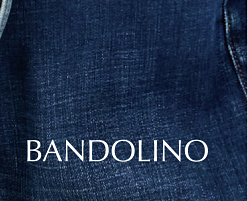 Jeans in various washes. Brand new blues. Shop our top denim brands. Levi's, Wonderly, True Craft, Bandolino. 