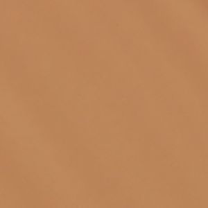 383N2 WHEAT