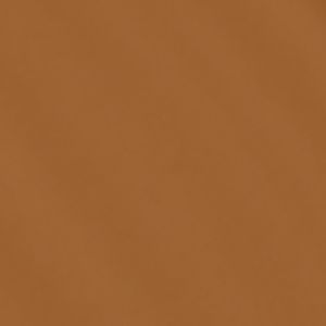 425W1 BRONZE