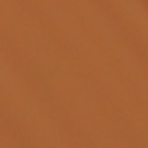 984N2 SPICED SAND