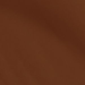 A45N2 AMBER HONEY