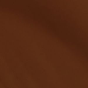 C47W1 DEEP SPICE