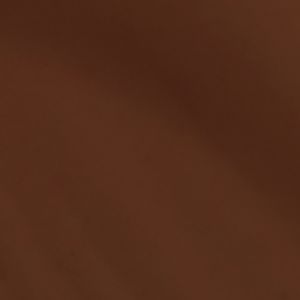 C76N2 TRUFFLE