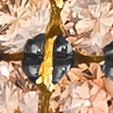 1 ct. t.w. Chocolate Ombré Diamonds® Hoop Earrings in 14K Honey Gold™