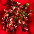 24-in. Poinsettia Wreath