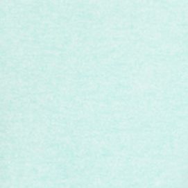 AQUA FLEUR
