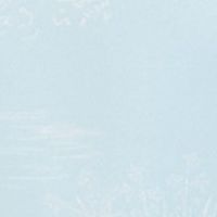 BLUE TOILE