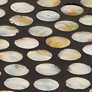 Coastal Mother of Pearl Shell Tray