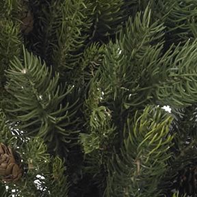 30 in Pine and Pinecone Wreath