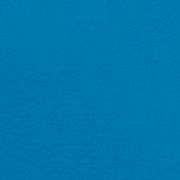 COMPASS BLUE