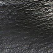 Black Leather