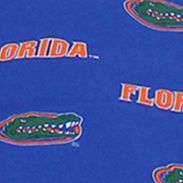 NCAA Florida Gators Settee Cushion