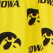 NCAA Iowa Hawkeyes Printed Curtain Valance