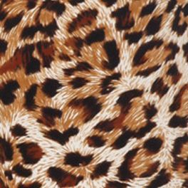 Brown Cheetah