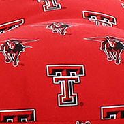  NCAA Texas Tech Red Raiders Settee Cushion