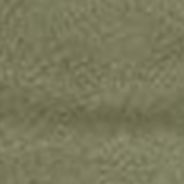 Olive Vine