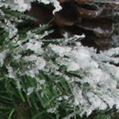 24Inch Green and Brown Flocked Angel Pine with Pine Cones Artificial Christmas Wreath - Unlit