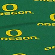 NCAA Oregon Ducks Settee Cushion