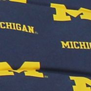 NCAA Michigan Wolverines Settee Cushion