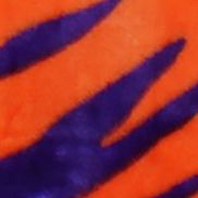 Clemson T